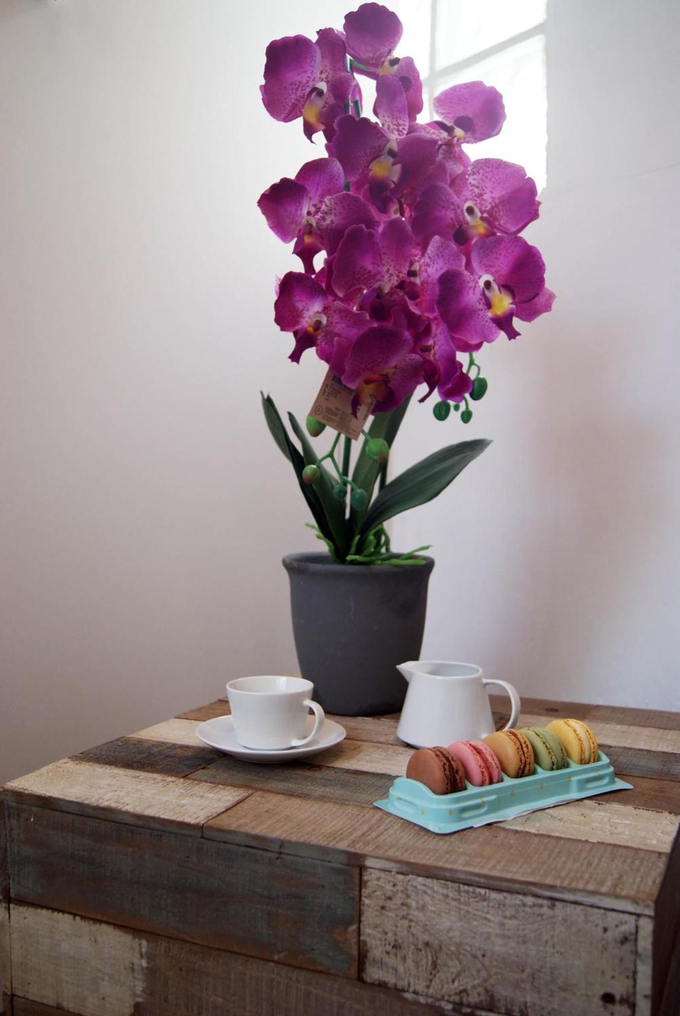 Apartamentos Centricos Barrio Del Carmen Valencia Eksteriør billede